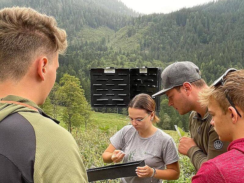 Leeren einer Borkenkäfer-Monitoringfalle bei der Waldführung in Rosenau (c) ÖBf