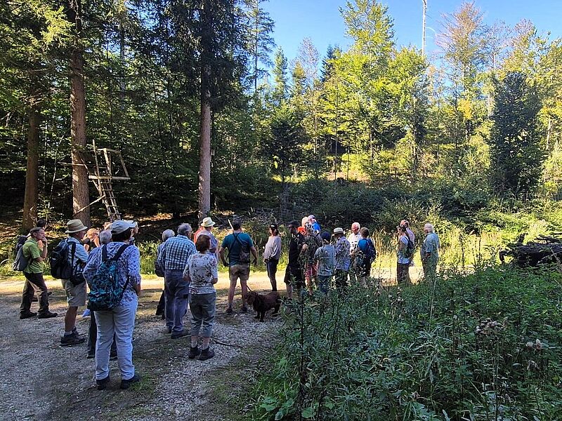 Waldführung durch den Kobernaußerwald mit Förster Matthias Berger (c) ÖBf/L. Brandstätter