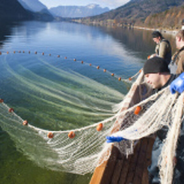 Wild und ursprünglich: Was den „Original WILDFANG“ so einzigartig macht