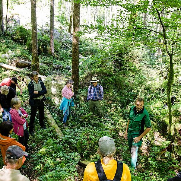 Kostenlose Führungen in den Wald der Zukunft