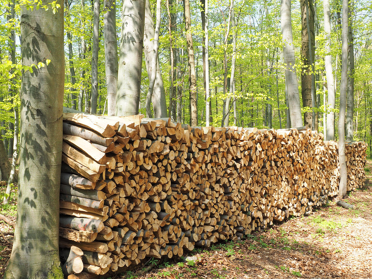 Holzstoß im Wald (c) ÖBf/G. Moser Holzstoß im Wald (c) ÖBf/G. Moser