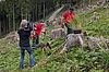 Wiederaufforstungen in Kleinarl (c) oebf