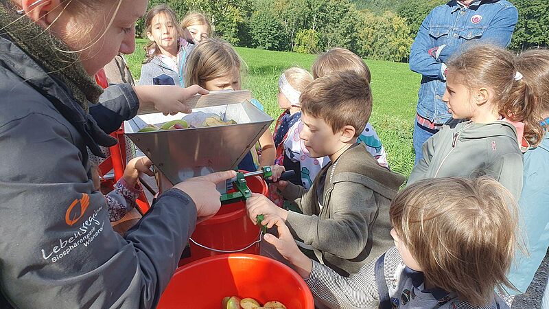 Kinder drehen an einer Presse für Apfelsaft