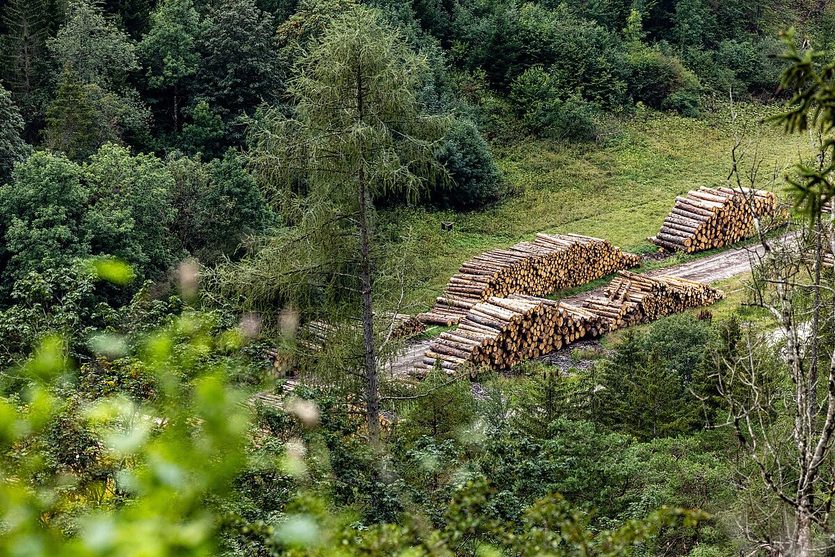 ÖBf-Forstrevier Mariazell in der Steiermark, © ÖBf-Archiv/F. Lindmoser ÖBf-Forstrevier Mariazell in der Steiermark, © ÖBf-Archiv/F. Lindmoser