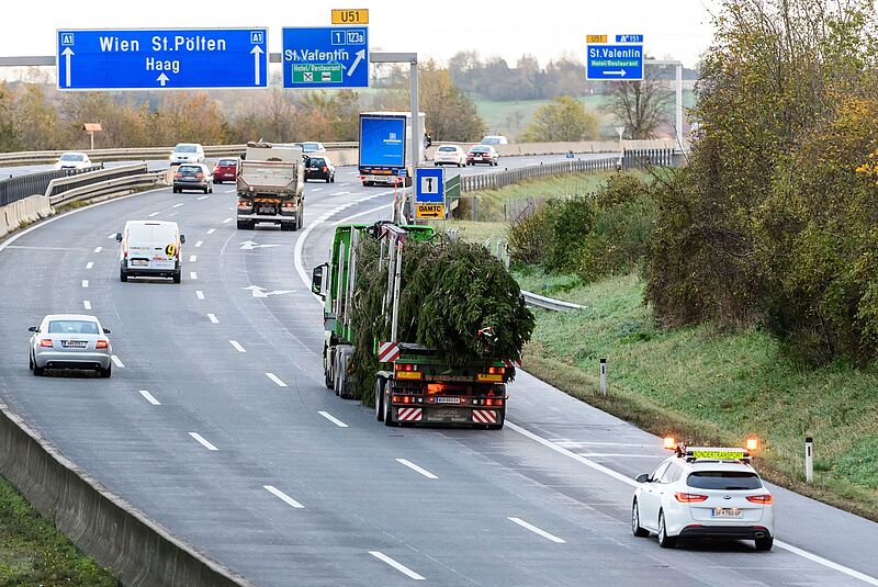Weihnachtsbaumtransport auf der Autobahn
