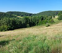 Forstbetrieb Waldviertel-Voralpen- JR Hölltal