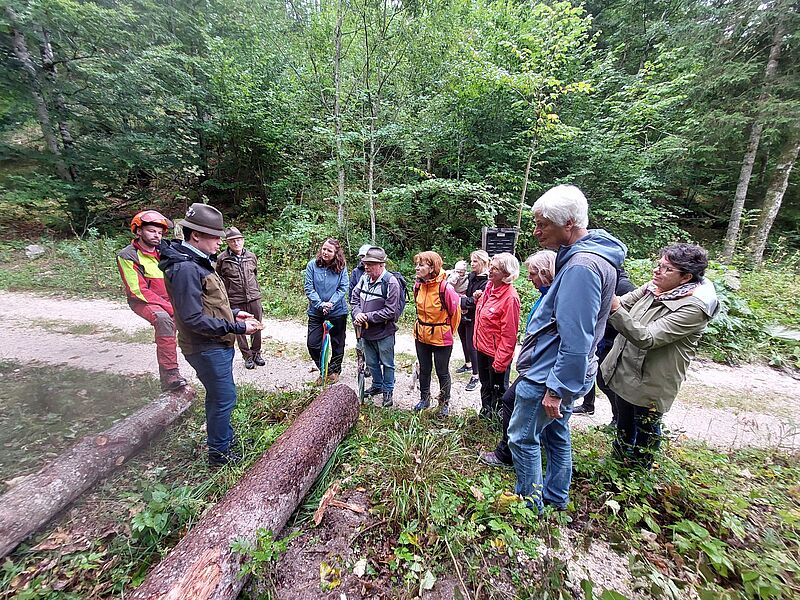 ÖBf-Waldführung in Altaussee (c) oebf/T. Kranabitl ÖBf-Waldführung in Altaussee (c) oebf/T. Kranabitl