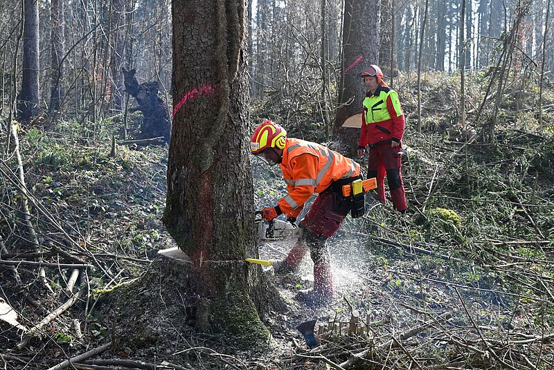 Bei den Praxiseinheiten steht Arbeitssicherheit stets an erster Stelle (c) C. Mooslechner