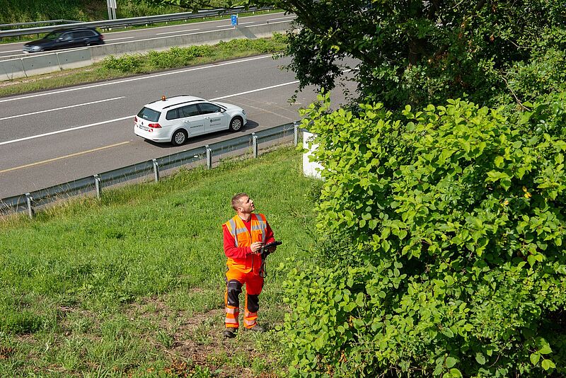 Baumkontrolle (c) ÖBf-Archiv/Wolfgang Voglhuber Baumkontrolle