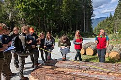 Forstwirtschaftliche Ausbildung in den österreichischen Alpen mit Holzstämmen und Teilnehmenden.
