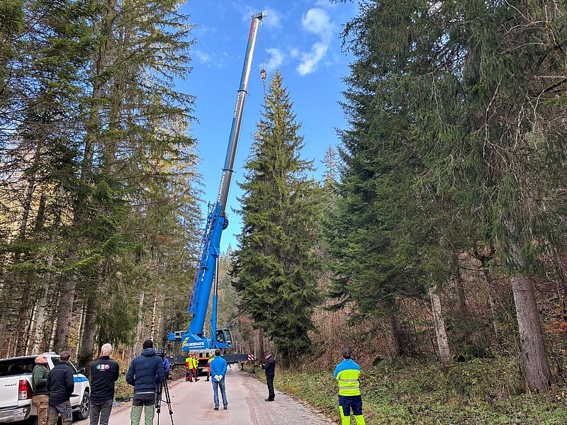 Christbaumernte im Forstrevier Altaussee (c) Stadt Graz/Tatschl Christbaumernte im Forstrevier Altaussee (c) Stadt Graz/Tatschl