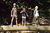 drei Kinder balancieren auf einem Baumstamm