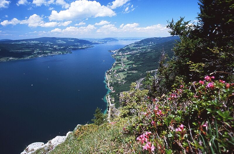 Blick über den Attersee (c) ÖBf-Archiv