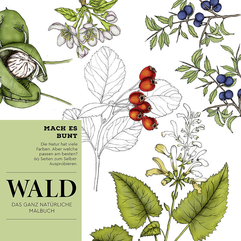 Am Bild ist das Cover des WALD-Malbuches zu sehen.