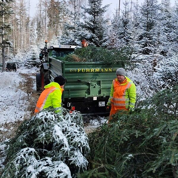 ÖBf-Christbäume für „oberrainanderskompetent“ in Unken