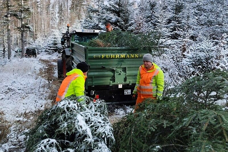 ÖBf-Christbäume für „oberrainanderskompetent“ in Unken