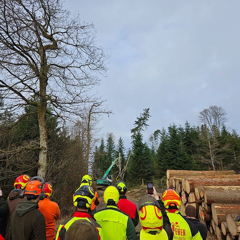 Der Baumhalteharvester im Einsatz (c) Florian Berger/Vieghofer