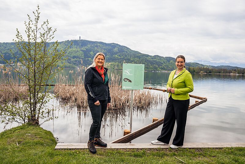 Antje Güttler, ÖBf-Betriebsleiterin, und Silvia Häusl-Benz, Bürgermeisterin Pörtschach, vor dem neuen Schilfschutzzaun am Wörthersee (c) ÖBf/M. Stabentheiner