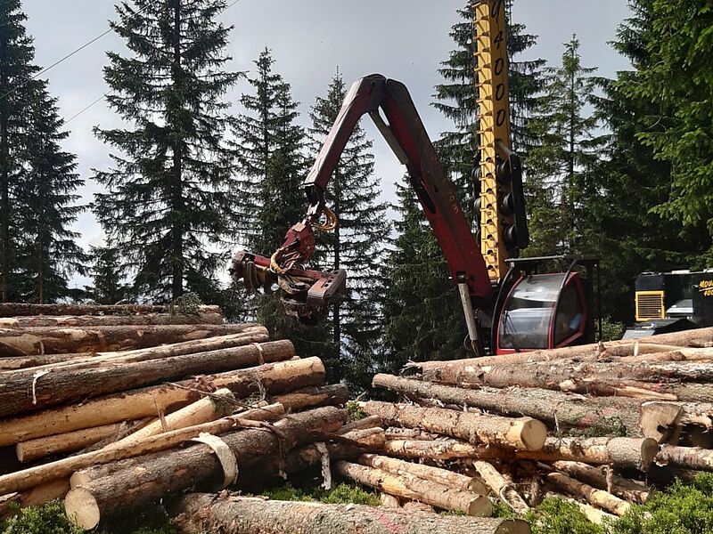 Schadholzaufarbeitung mit Seilkran (c) ÖBf/Aichhorn
