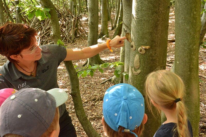 Gesicht aus Ton an einem Baumstamm, gebastelt von Kindern. Foto: G. Waiss