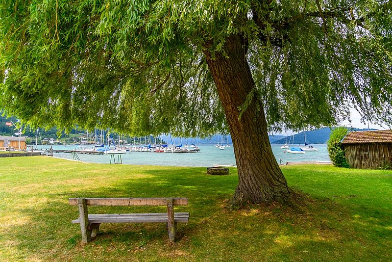 ÖBB-Fläche in Schörfling (c) ÖBf/W. Simlinger