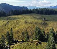 FB Steiermark - Jagdrevier Spielkogel