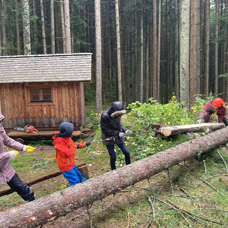 Abtransport des Holzes per Seil (c) ÖBf