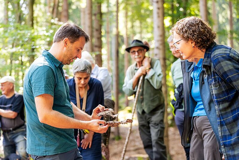 Wald der Zukunft-Führung (c) oebf/M. Stabentheiner