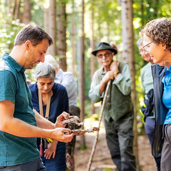 „Wald der Zukunft“ erleben: Bundesforste laden zu kostenlosen Waldführungen 