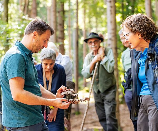 „Wald der Zukunft“ erleben: Bundesforste laden zu kostenlosen Waldführungen „Wald der Zukunft“ erleben: Bundesforste laden zu kostenlosen Waldführungen