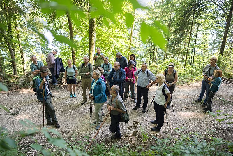 Waldführung in St. Lorenz am Almkogel (c) ÖBf/W. Lienbacher