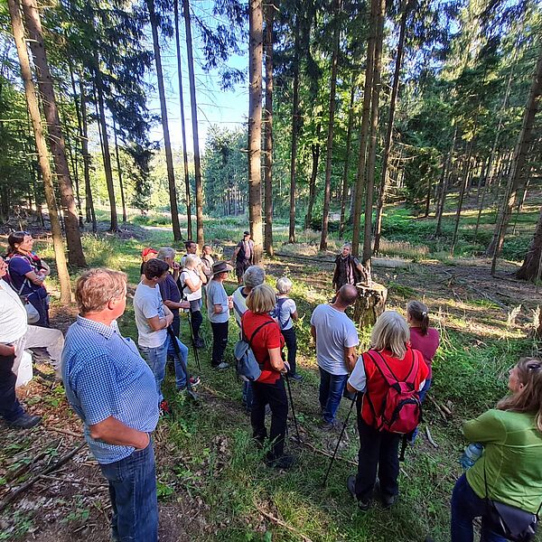 Kostenlose Spezialführungen in den Wald der Zukunft