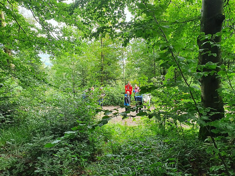 Waldführung in St. Ulrich (c) ÖBf