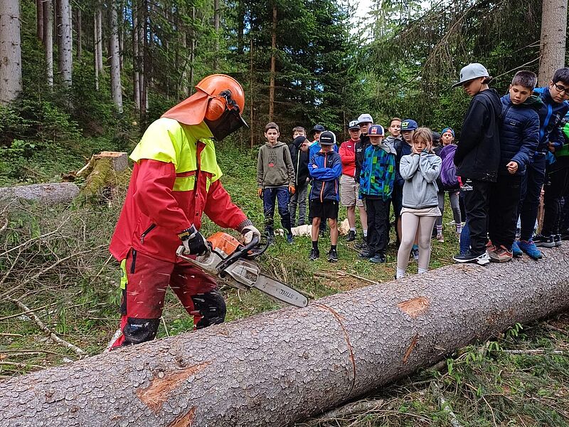 ÖBf-Forstfacharbeiter gaben den Schüler*innen Einblicke in die Praxis der Holzernte (c) Guggenberger-Zobl
