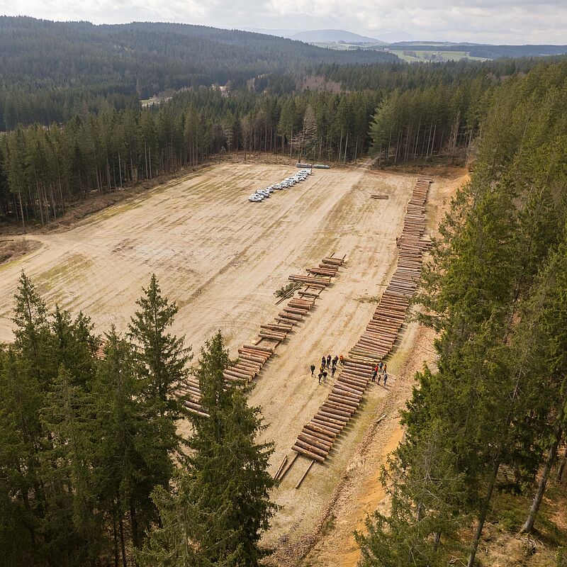 Blick auf den Holzlagerplatz in Schneegattern im Kobernaußerwald (c) ÖBf/W. Lienbacher