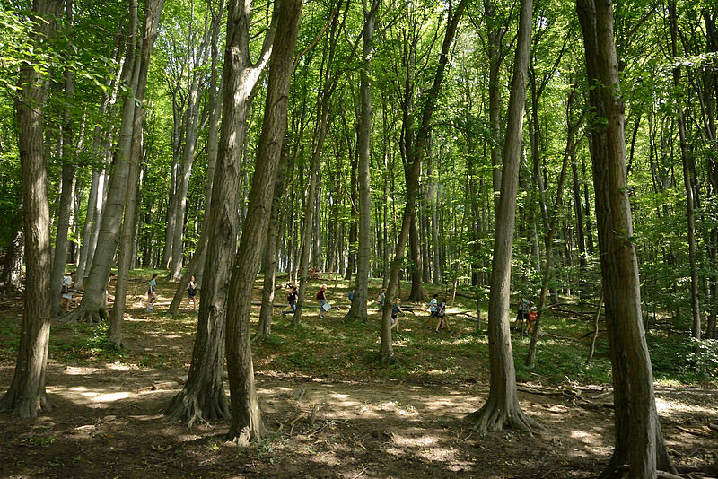 BG/BRG Klosterneuburg