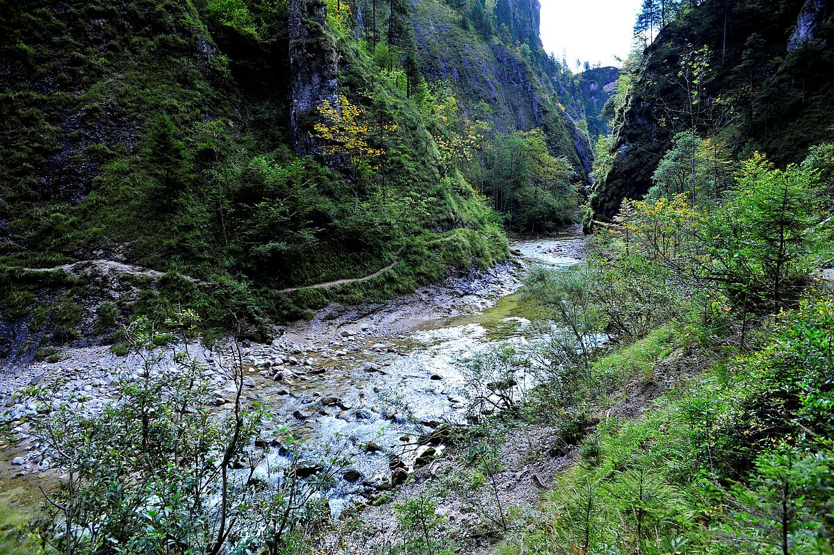 Enns bei Reichraming (c) ÖBf-Archiv/W. Simlinger Enns bei Reichraming (c) ÖBf-Archiv/W. Simlinger