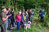 Waldführung im Forstrevier Steyr auf dem Damberg bei St. Ulrich (c) ÖBf/W. Simlinger