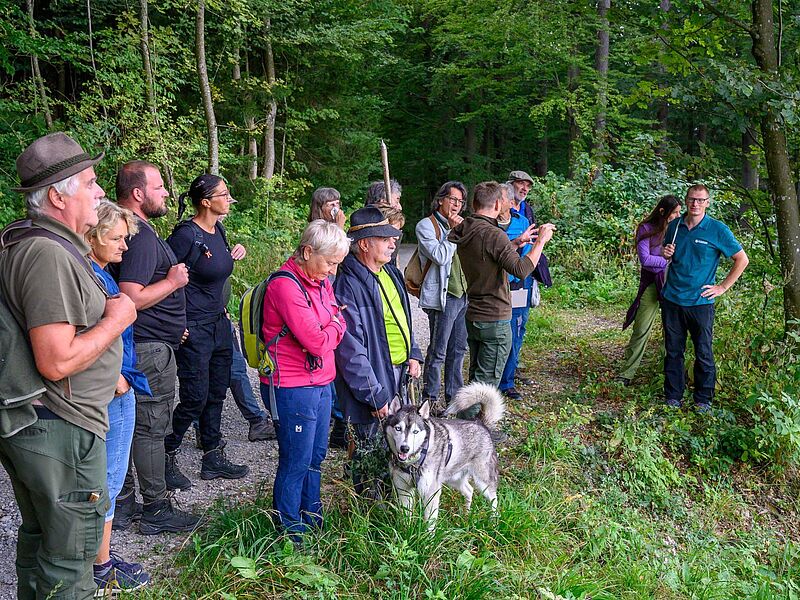 Waldführung im Forstrevier Steyr auf dem Damberg bei St. Ulrich (c) ÖBf/W. Simlinger