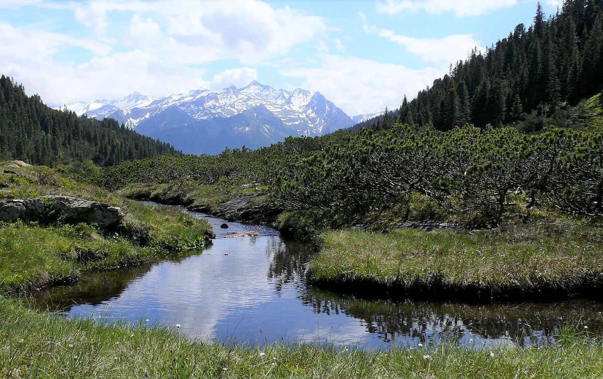 Filzenscharte (c) ÖBf Filzenscharte (c) ÖBf