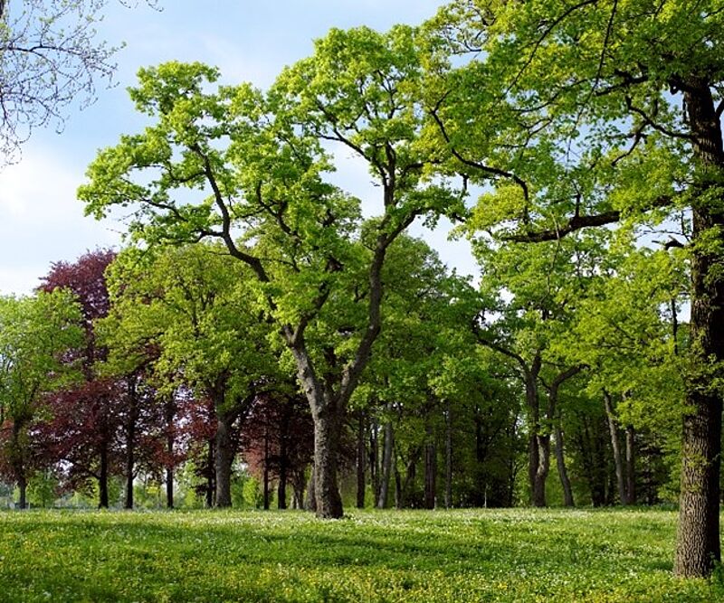 Schaugarten Schloss Eckartsau (c) Alexander Haiden