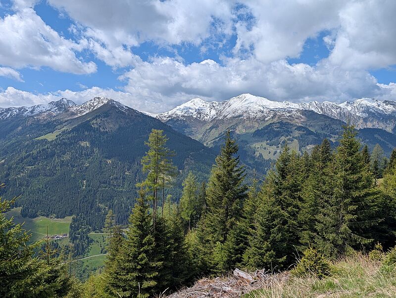 ÖBf-Forstrevier Großarl (c) ÖBf