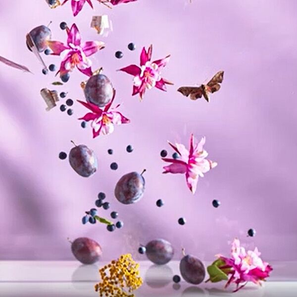 WALD Kalender April 2023