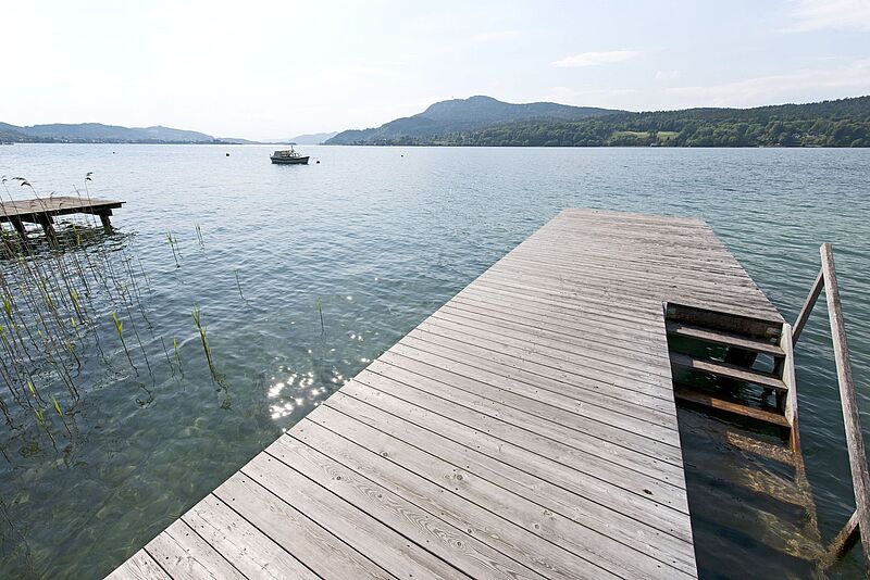 Steg am See, das Wasser glitzert von der Sonne, im Hintergrund Wald