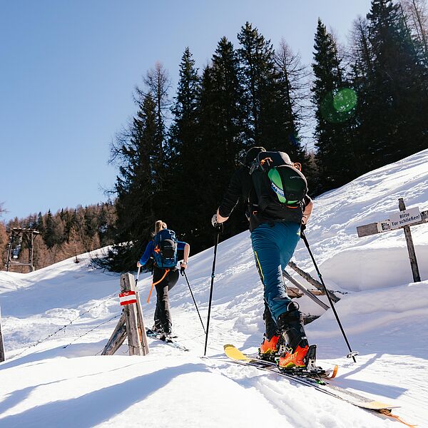 Fair unterwegs im Schnee: Gemeinsamer Appell für naturverträgliche Skitouren