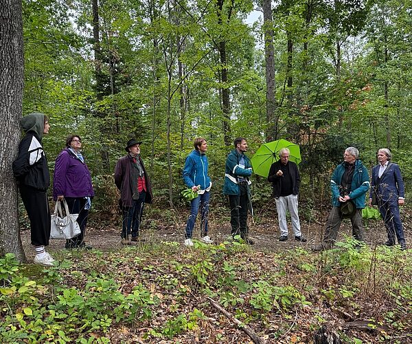 Den Wald der Zukunft hautnah erleben Den Wald der Zukunft hautnah erleben