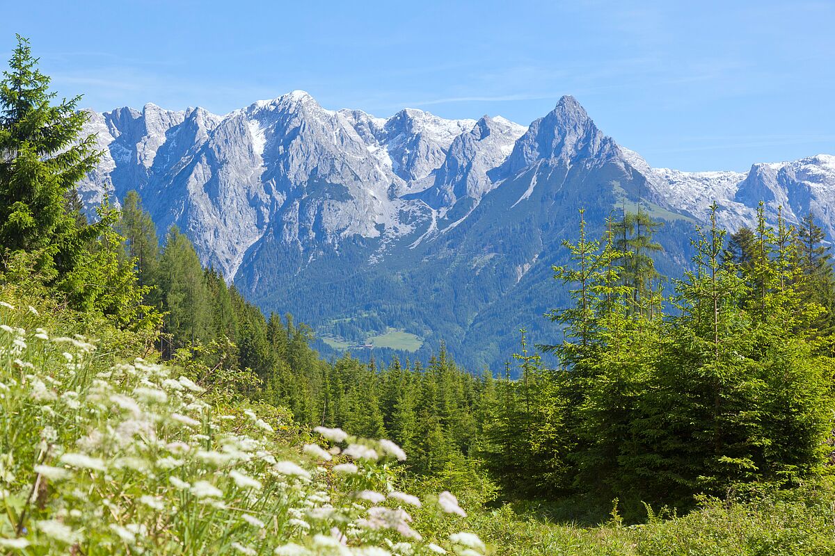Blick auf das Tennengebirge (c) ÖBf/F. Pritz Blick auf das Tennengebirge (c) ÖBf/F. Pritz
