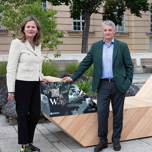 „RealiTree“: Bundesforste laden zum virtuellen Walderlebnis im Jubiläumsjahr