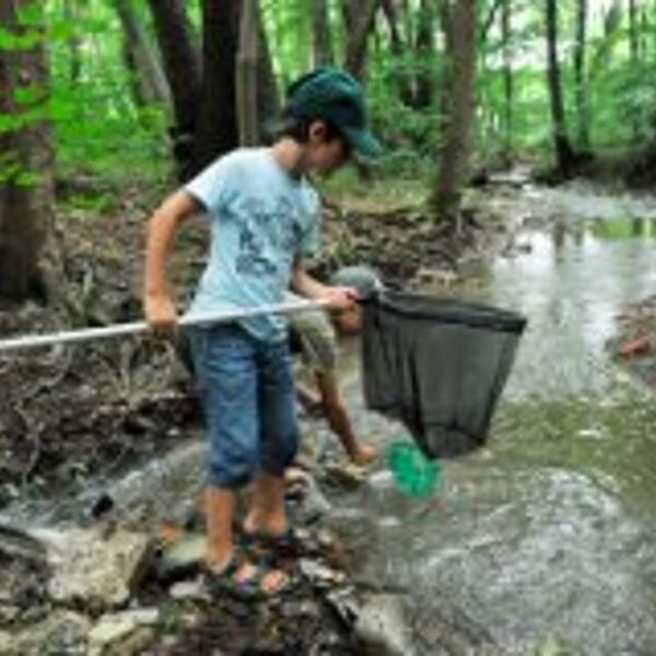 SPEZIALFÜHRUNG WASSERDETEKTIVE: Der Natur auf der Spur
