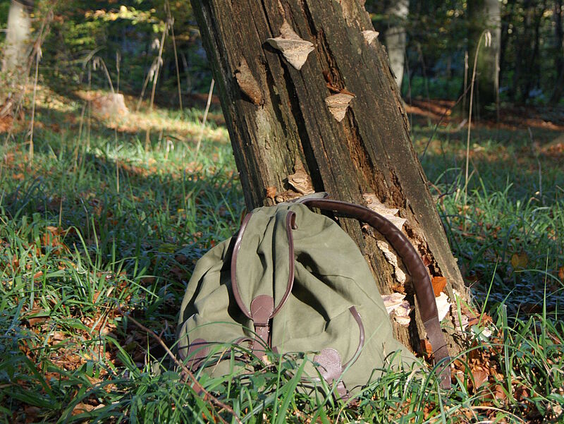 Rucksack im Wald. Foto: Regina Reiter